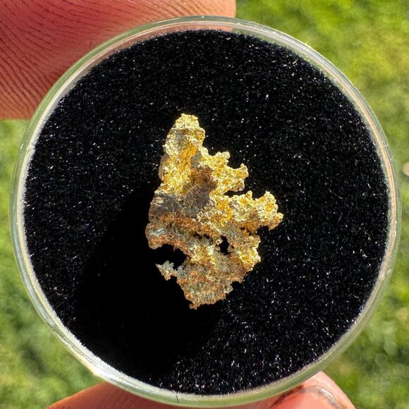 California Native Gold Crystal - 0.895 grams - Picture 2 of 5